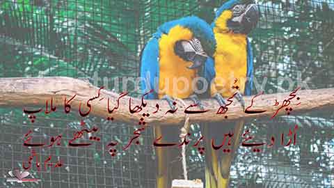 bichar ke tujh se na dekha gia kisi ka mlap - adeem hashmi poetry - besturdupoetry.pk