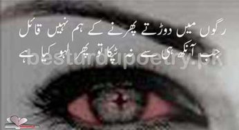 Ragon main dorate phirne ke ham nahi qaeial