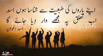 apny yaroon ki tabiyat say shanasa hoon