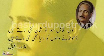 koi kabal ho tu shan e kai dete haan