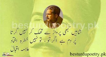 shaheen kabhi parwaz se thak kar nahi –