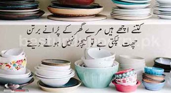 kitne ache han mere ghar ke purane bartan
