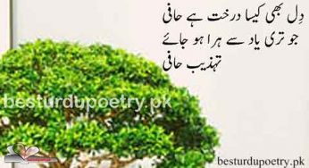 dil bhi kesa darakht hai hafi – jo teri