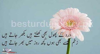 dard ke phol khilte han bikhar jate han
