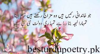 jo khandani raees hain wo mazaj rakhtay haan