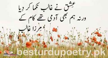 ishq ne ghalib nikamma kar diya