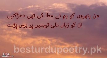 jin patharon ko ham nay ata ki thi dharkanain