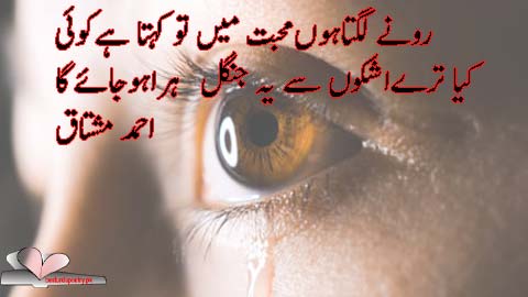 ronay lagta hoon muhabbat main tu - ahmad mushtaq poetry in urdu - besturdupoetry.pk
