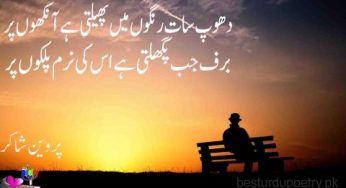 dhop saat rangon main phalti ha aankhon per