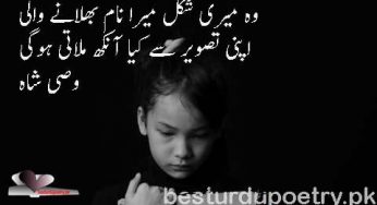 wo meri shakal mera naam bhulany wali