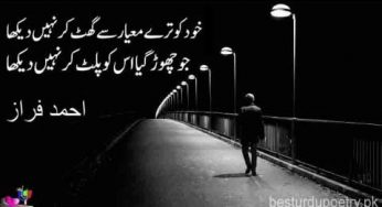 khud ko teray mayar say ghat kar nahi dekha