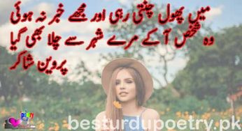 main phool chunti rahi aur mujhey khabar na hui