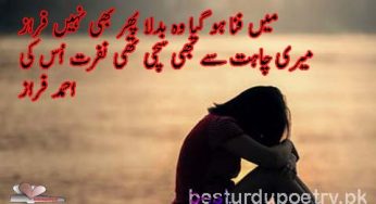 main fana ho gia vo badla phir bhi nahi