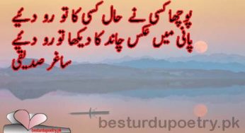pucha kisi nay haal kisi ka tu ro diye