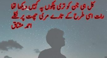 kal hi jin ko teri palkon pay kahin dekha tha