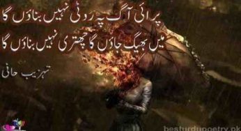 parai aag pay roti nahi banaon ga