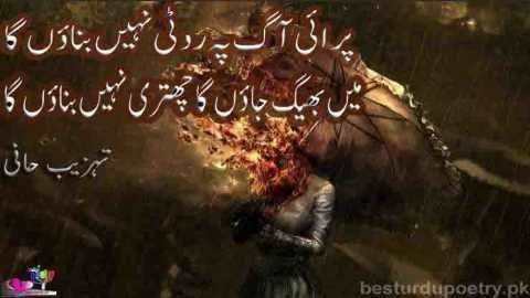 parai aag pay roti nahi banaon ga - tehzeeb hafi poetry - besturdupoetry.pk