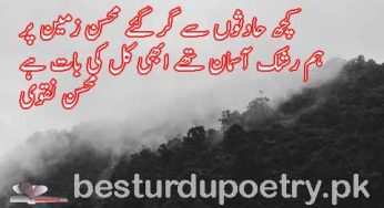 kuch hadson say gir gaye mohsin zameen par