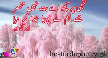 tujh hi per kuch aye buut nahi munhisar