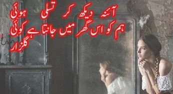 aaina dekh kar tassalli hui