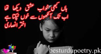 haan kabhi khwab e ishq dekha tha