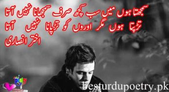 samjhta hoon main sab kuch sirf