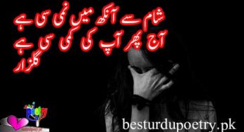 sham say aankh main nami si ha