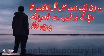 wo apni aik zaat main kul kainat tha