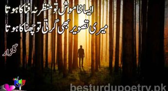 aisa khamosh tu manzar na fana ka hota