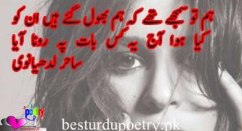 ham tu samjhy thy ka ham bhool gae