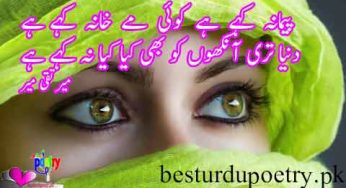 pemana kahy hay koi mae khana kahy hay