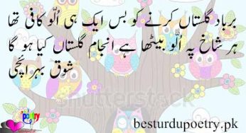 ullu poetry Archives - Best Urdu Poetry
