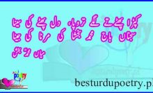 kaprra phaty tay lagay taropa, dil phatay ki seena