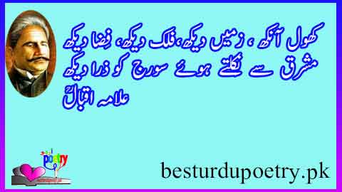 motivational poetry in urdu best 30 sher - Best Urdu Poetry