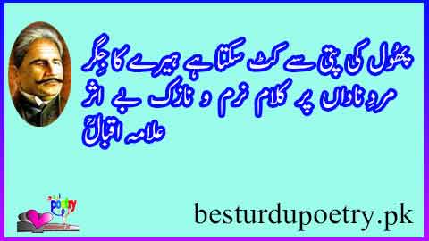 mard e nadan par kalam