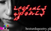 aap kay baad har ghari ham nay