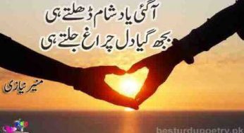 aa gai yaad shaam dhalty hi