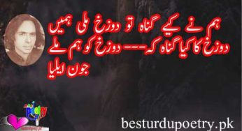 ham nay kiye gunah tu dozakh mili hamain