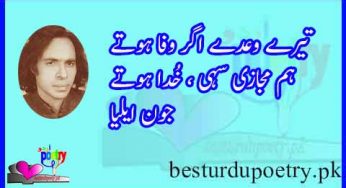 tery waday agar wafa hotay – ham majazi sahi