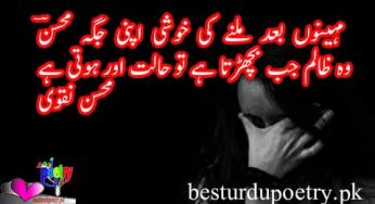 mahinon baad milnay ki khushi apni jaga
