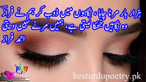 hazar baar main nay chaha