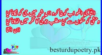 ibn e insha poetry in urdu best 20 sher