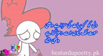 wasi shah poetry in urdu – best 30 sher