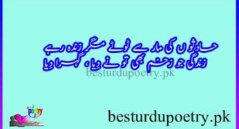 hadson ki maar say tootay magar