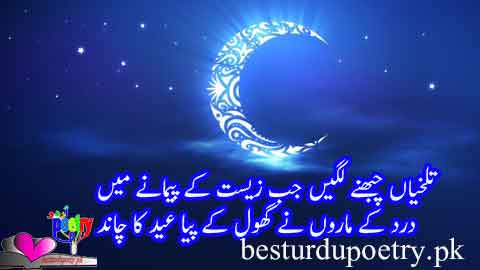 talkhiyan chubhnay lagin jab zeest kay pemanay main