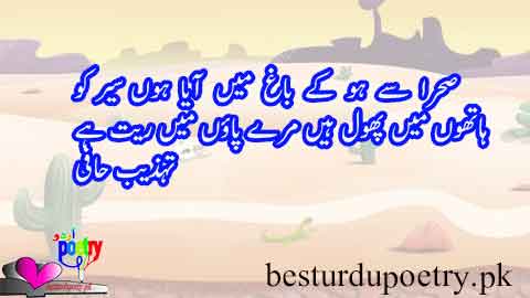 sehra say ho kay baagh main aya hoon sair ko
