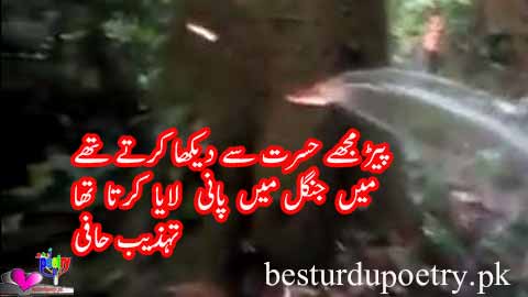main jangal main pani laya karta tha