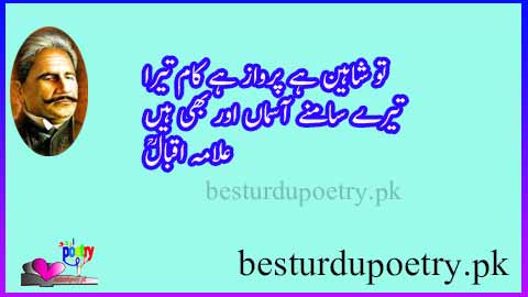 tu shaheen hai perwaz hai kaam tera