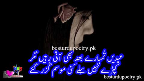 Eidain tumharay baad bhi aati rahin magar
