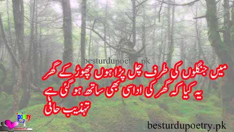 main janglon ki taraf chal parra hoon chorr kay ghar